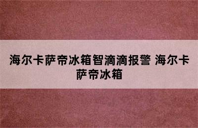 海尔卡萨帝冰箱智滴滴报警 海尔卡萨帝冰箱